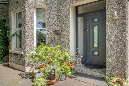 4_8 Belmont Park.jpg