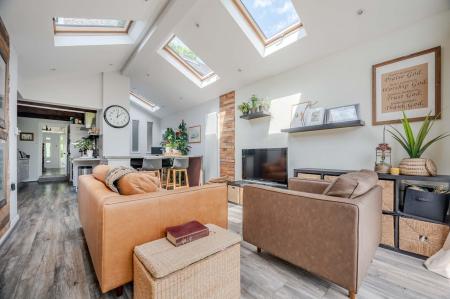 20_8 Belmont Park.jpg