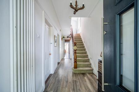 5_8 Belmont Park.jpg