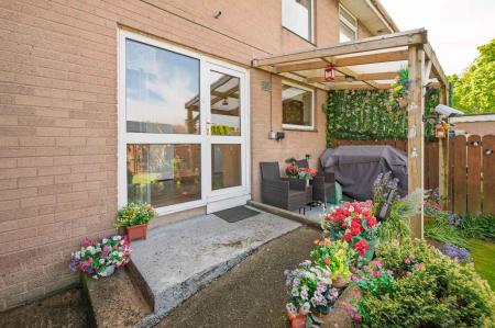 Terrace / Patio