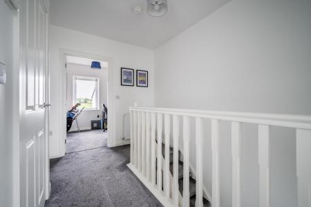 41 Balmoral Rd_24.jpg