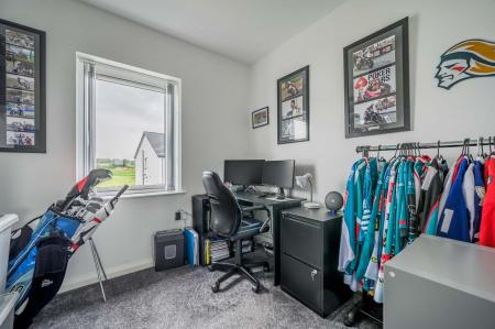 41 Balmoral Rd_25.jpg