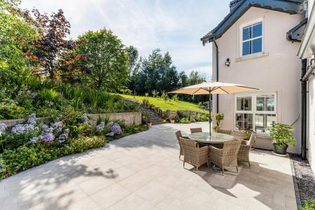 Terrace / Patio