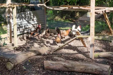 29 Craigarusky Rd-69.jpg