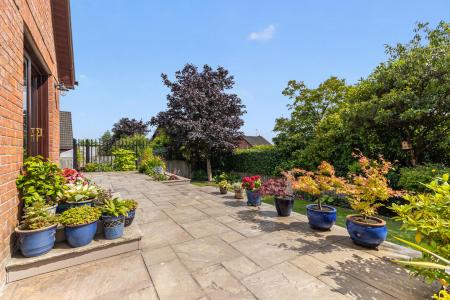 Terrace / Patio