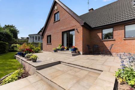 Terrace / Patio