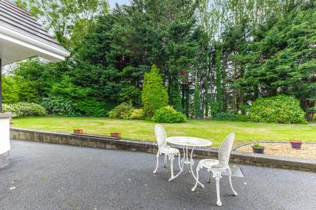 Terrace / Patio