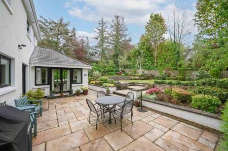 Terrace / Patio