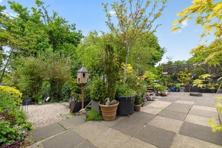 Terrace / Patio