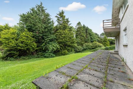 Terrace / Patio