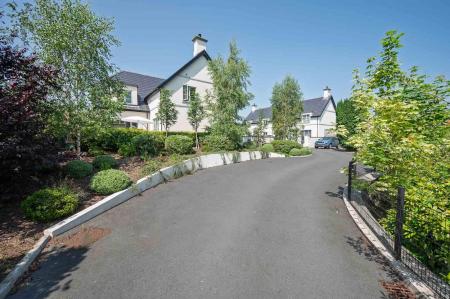 3-381 Old Holywood Rd.jpg
