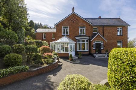 203 Bangor Road-9154.jpg