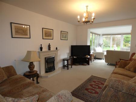 15 Ash Tree - LR1.JPG