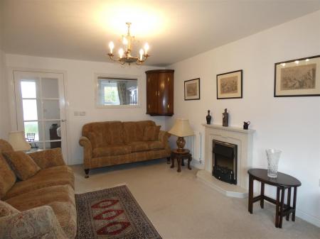 15 Ash Tree - LR2.JPG