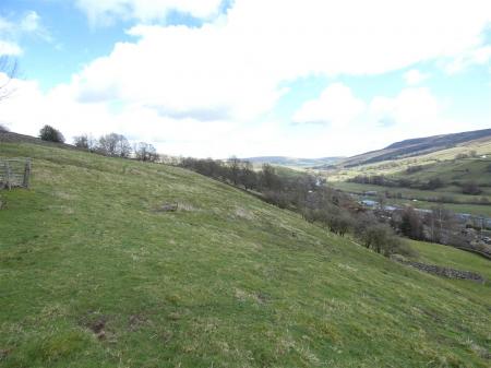 East Brocca Bank - grassland.JPG