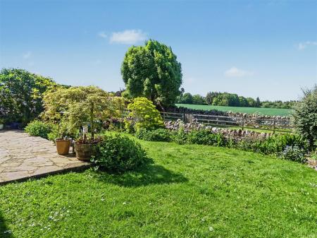 3 Dalton Heights - Garden 3.JPG