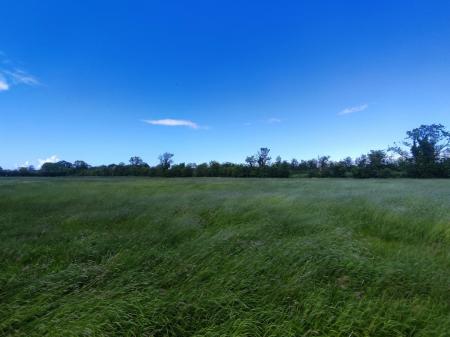 DJI_0667.JPG