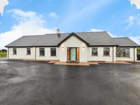 647b4521-IMG_2025122