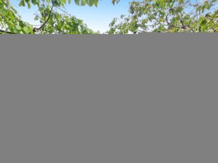 7218515a-IMG_2025060