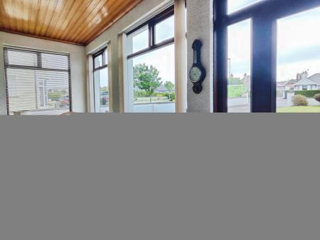 da959961-IMG_2025060