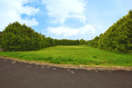 a652604f-DSC_0518.JP