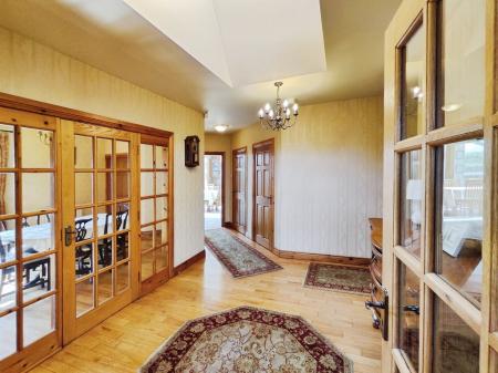 01ef1c5b-IMG_2025061