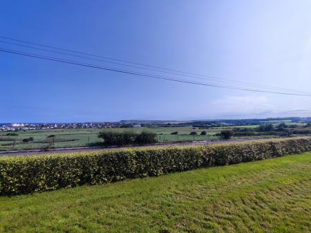 c6df4cdb-IMG_2025061