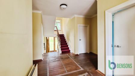 074b5087-20250725_11