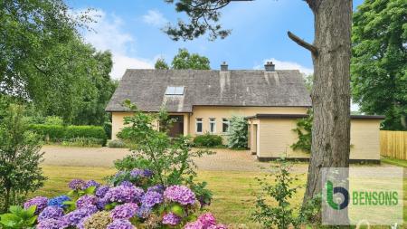 989e417c-20250725_11