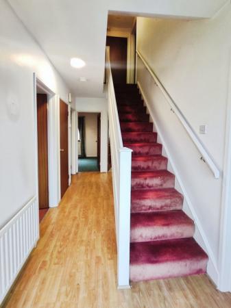 c86b8c85-IMG_2025061