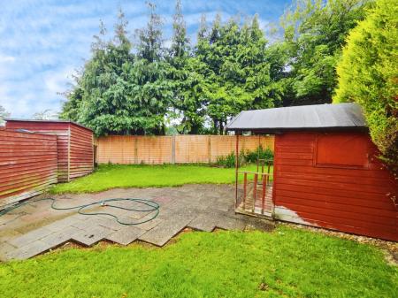 2c61538a-IMG_2025061