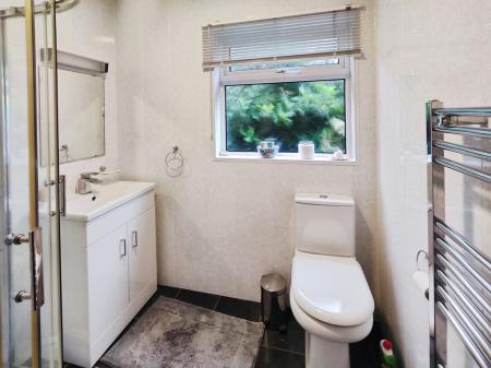 7801f329-IMG_2025061