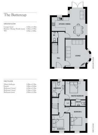 Buttercup detached f