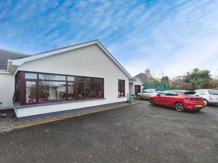 89e9ae19-IMG_2025110