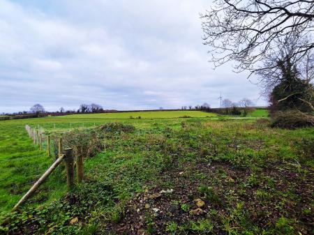 2025-11-21_09-02-18_