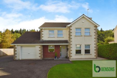 e35517ff-DSC_0731.JP