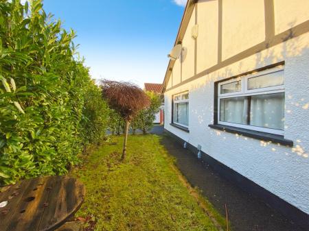 d9e9c42a-IMG_1251.jp