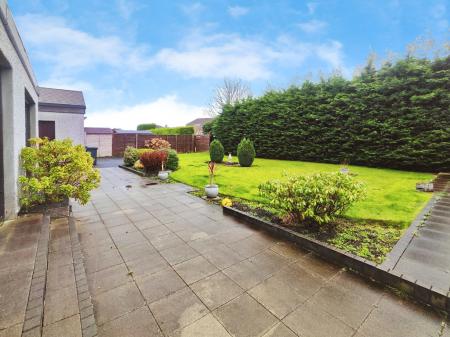 db1869ab-IMG_2026020