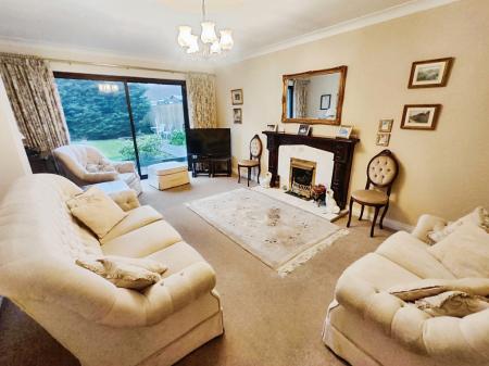 76d8dcd8-IMG_2026020