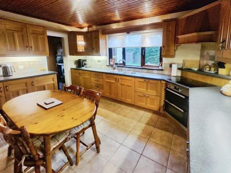 91e89d4c-IMG_2026020