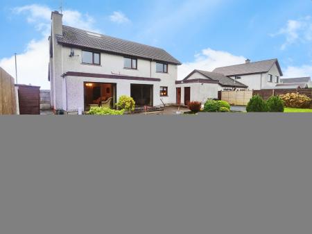 272ff107-IMG_2026020