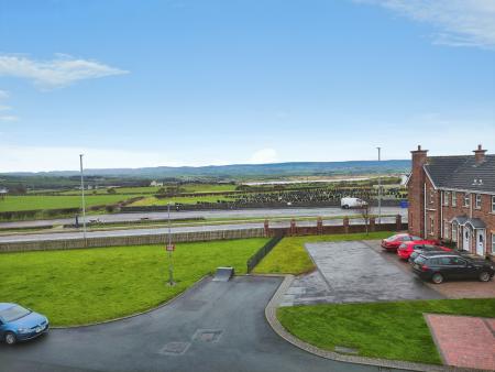 e1693926-IMG_2026020