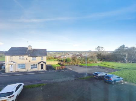 ba348257-IMG_2026021