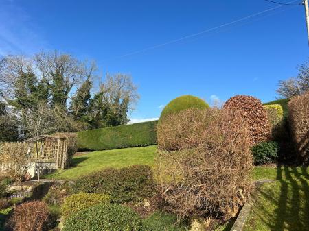 EEED997D-8882-491E-A