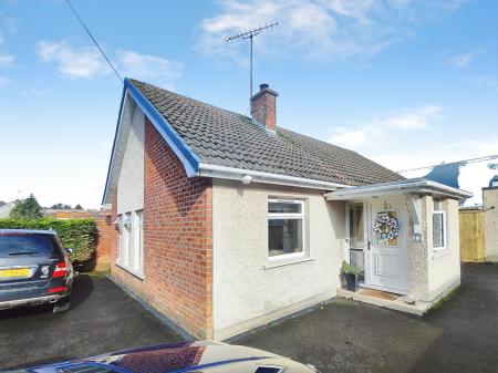 e1b53123-IMG_2026022