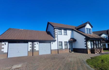 IMG_20260303_1038063