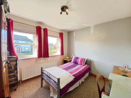 e55e423e-IMG_1417.jp