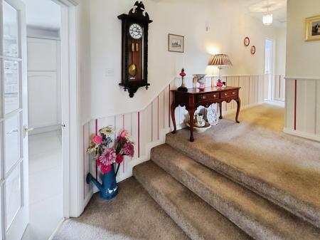 87031094-IMG_2026033