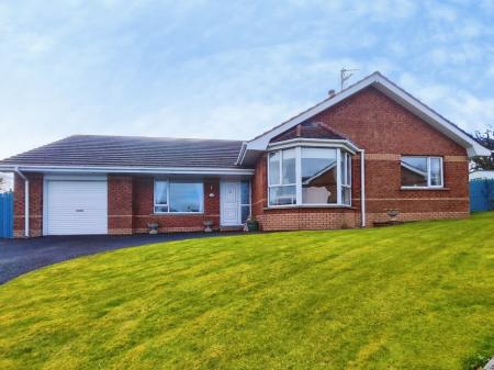 d8322972-IMG_2026033