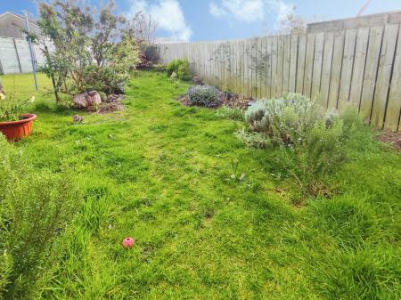 ba3ad3ce-IMG_2026040